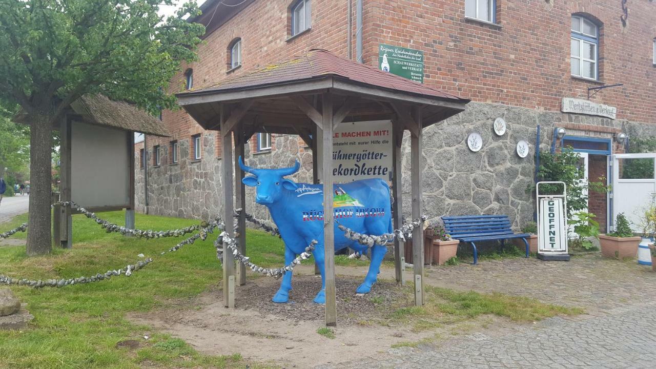 Ferienwohnung Finja In Putgarten, Kap Arkona Ruegen Bagian luar foto