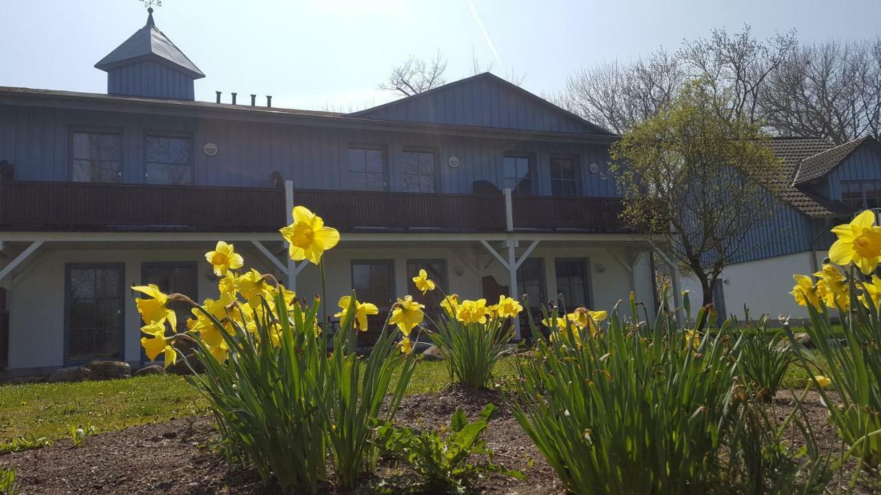 Ferienwohnung Finja In Putgarten, Kap Arkona Ruegen Bagian luar foto
