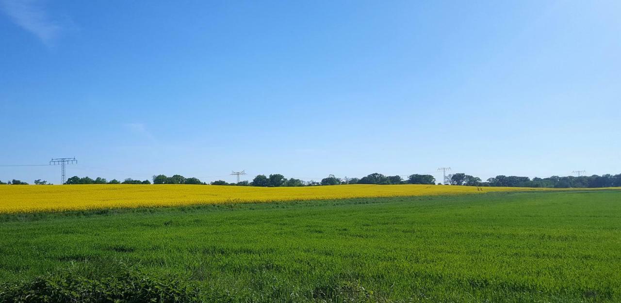 Ferienwohnung Finja In Putgarten, Kap Arkona Ruegen Bagian luar foto